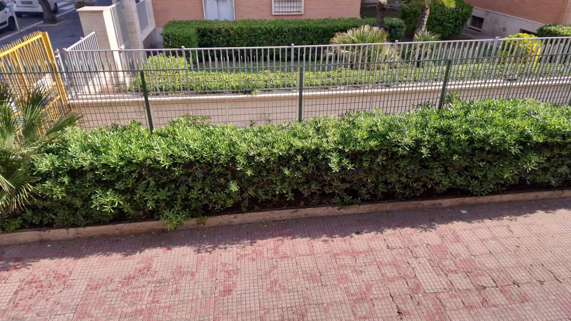 La Marina Di Ostia Lägenhet Exteriör bild
